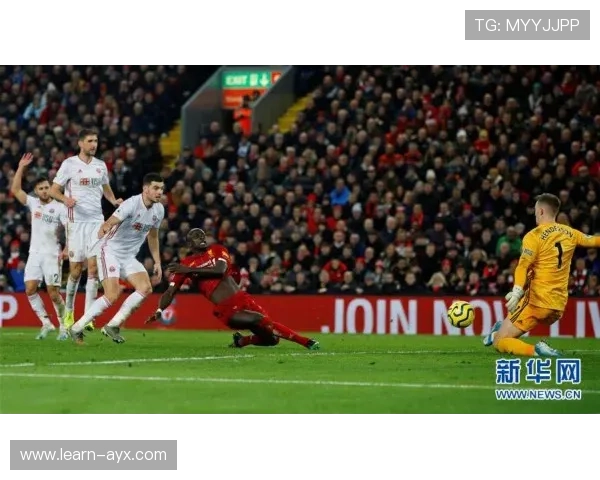 百年传统与复兴之路中的谢菲尔德星期三足球俱乐部探索未来蓝图展