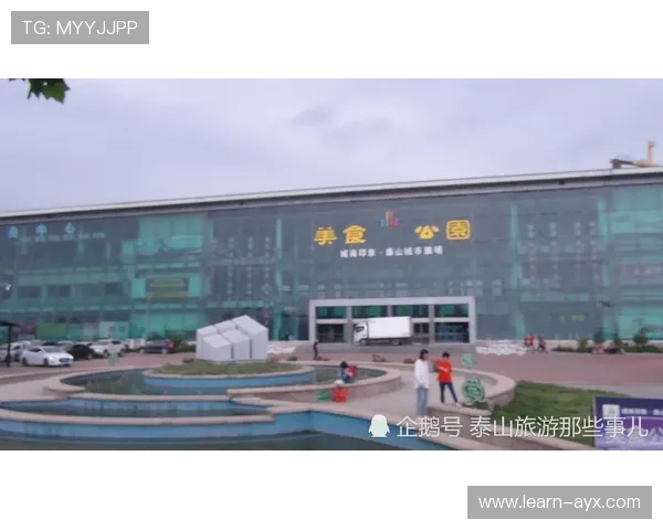 世界网坛最新动态聚焦顶级赛事与新生代球员崛起引发球迷持续热议