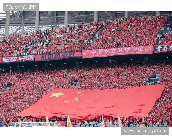 国足再度无缘世界杯引发深层反思青训联赛归化改革未来出路何在